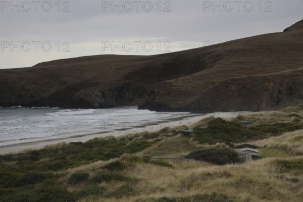 Coastal landscape with rolling dunes and ocean views on the Otago Peninsula, Otago Peninsula, New Zealand