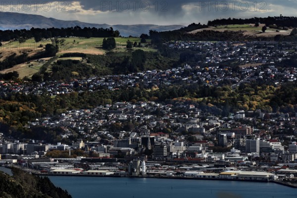 Panorama of Dunedin with densely built urban landscape and surrounding hills, Dunedin, Otago, New Zealand