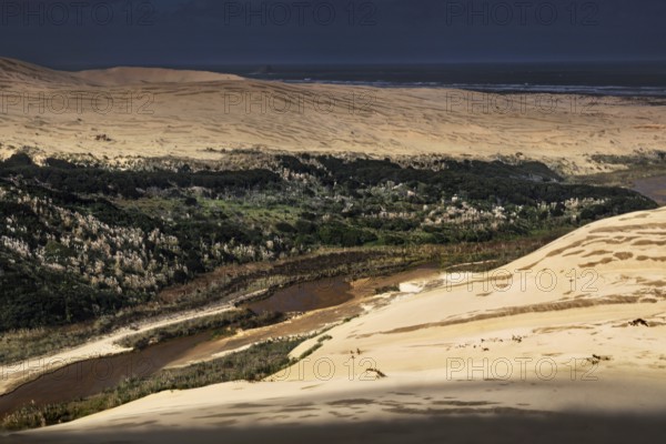 View of rolling sand dunes with strips of vegetation and wide horizons, Ninety Mile Beach, New Zealand