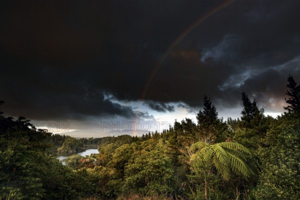 Scenic view of forest and Mount Taranaki near Lake Mangamahoe with rainbow, zero