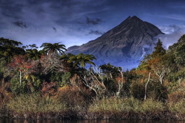 The summit of Mount Taranaki rises above the autumn-colored forest at Lake Mangamahoe, New Plymouth, Taranaki, New Zealand