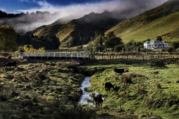 View of a picturesque landscape with river and bridge along the Forgotten World Highway in New Zealand, zero