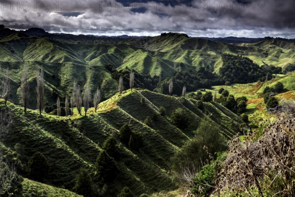 Extensive green hills along the Forgotten World Highway, New Zealand, zero