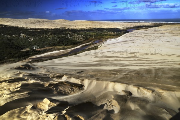 Dune landscape with wide views, sand structures and blue sky, Ninety Mile Beach, New Zealand