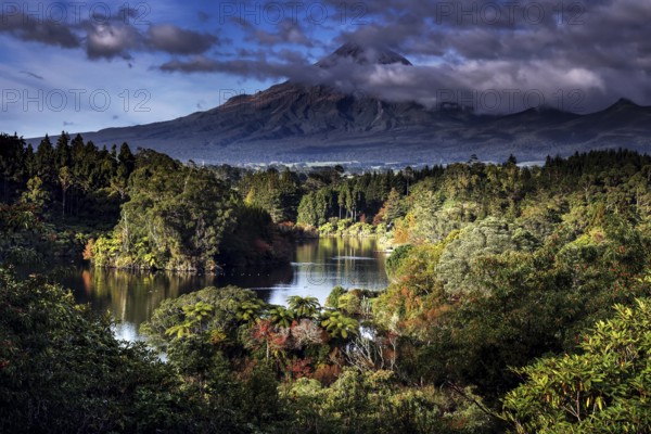 View of Lake Mangamahoe with Mount Taranaki in the background. Dreamy landscape with forest and mountains, New Plymouth, Taranaki, New Zealand