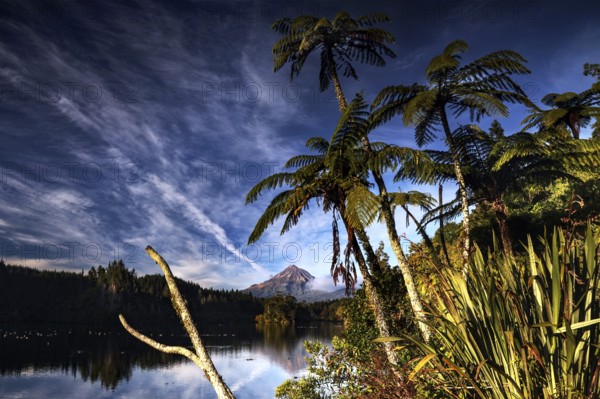 View of Lake Mangamahoe with tree fern and Mount Taranaki in the background, New Zealand, zero