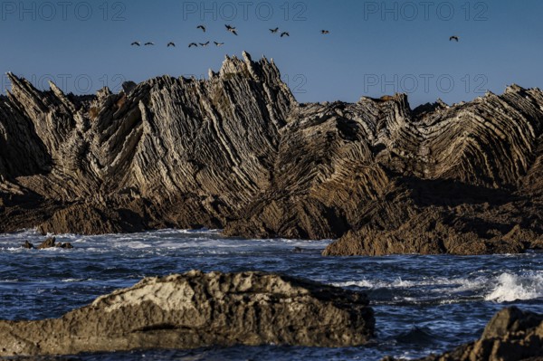 Dramatic rock formations on the Kaikoura coast with flying birds, zero