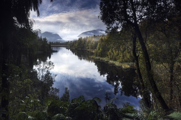 Lake Matheson offers a tranquil reflection of the surrounding mountains and forests in soft morning light, Lake Matheson, West Coast, New Zealand