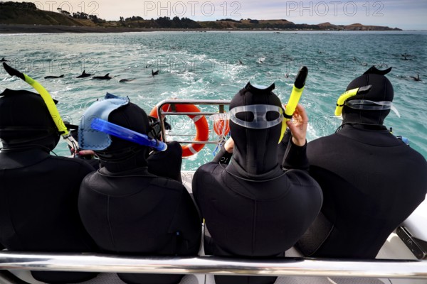 Snorkelers on a boat watching dolphins in the turquoise blue water of Kaikoura, Kaikoura, New Zealand