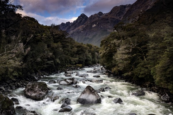 River surrounded by mountains and thick vegetation under cloudy sky, Milford Road, New Zealand