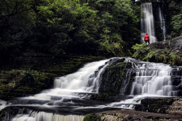 McLean Falls in a thick forest with running water and surrounding vegetation, Jackson Bay, Fiordland, New Zealand