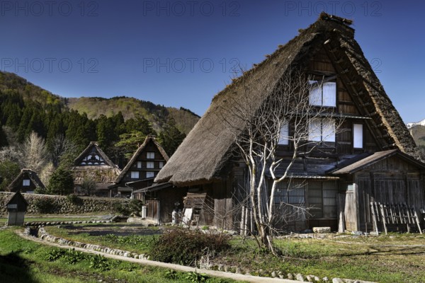 Traditional gassho-zukuri houses nestled in a mountainous landscape, Shirakawa, Gifu, Japan