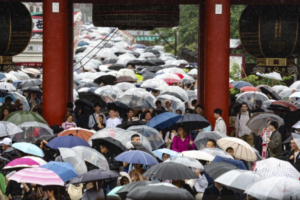 Crowd of people with umbrellas at a traditional festival, Tokyo, Asakusa, Japan