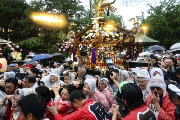 Celebrators wearing traditional clothing wear Mikoshi in the rain at Sanja Matsuri, Tokyo, Asakusa, Japan