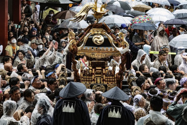 Crowds with umbrellas surround Mikoshi during Sanja Matsuri, Tokyo, Asakusa, Japan
