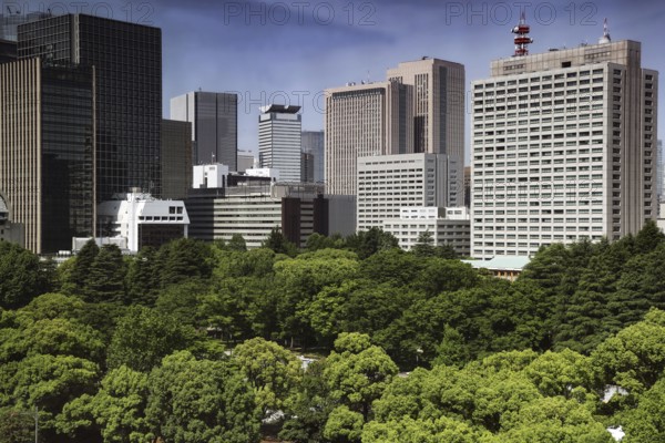 Urban view of Tokyo with view of Imperial Palace and surrounding palace gardens, Tokyo, Tokyo, Japan