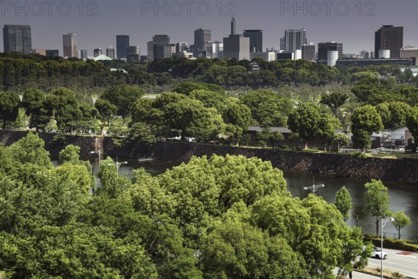 Tokyo roof terrace with views of Imperial Palace and green palace gardens, Tokyo, Tokyo, Japan