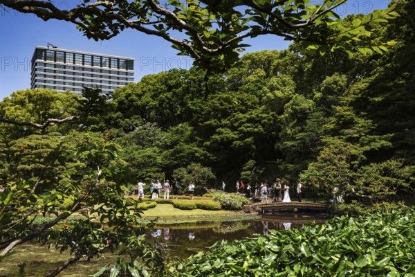 Lush garden at the Imperial Palace with pond and tall trees, Tokyo, Japan