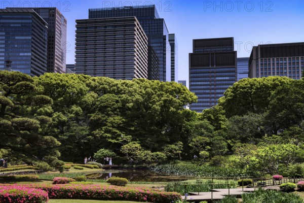 Ninomaru Imperial Palace Garden with modern skyscraper backdrops, Tokyo, Japan