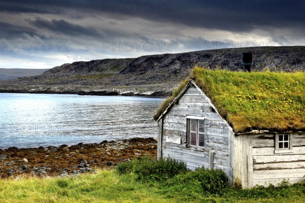 Wooden house with grass roof on the coast of Hamningberg, dramatic sky in the background