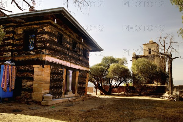 Historic monastery church surrounded by trees and sunlight, Debre Damo, Tigray, Ethiopia