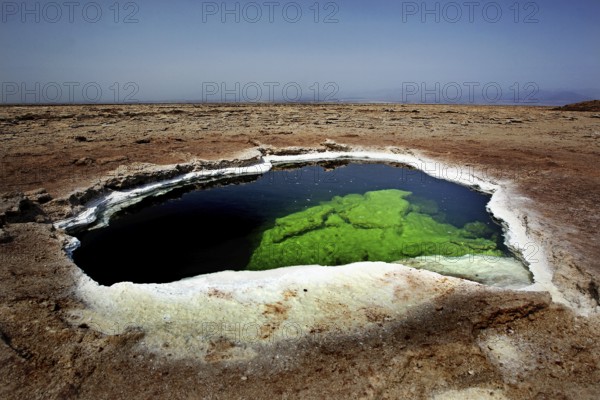 Solfatar hot water pool with remarkable green and blue in Dallol, zero