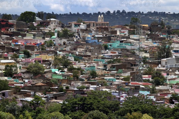 Panoramic view of the dense buildings of the old town of Harar, Harar, Harari, Ethiopia