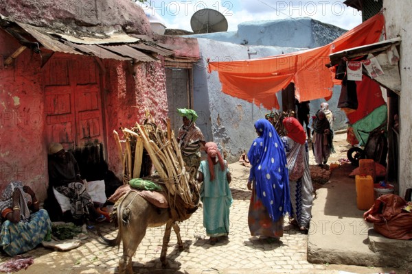 Busy alley in Harar with Merchants and a Donkey, Harar, Ethiopia