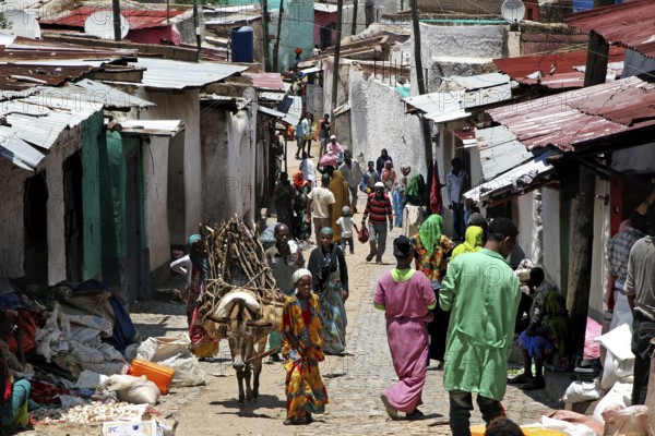 Busy alley in Harar's old town with people and donkeys, Harar, Ethiopia