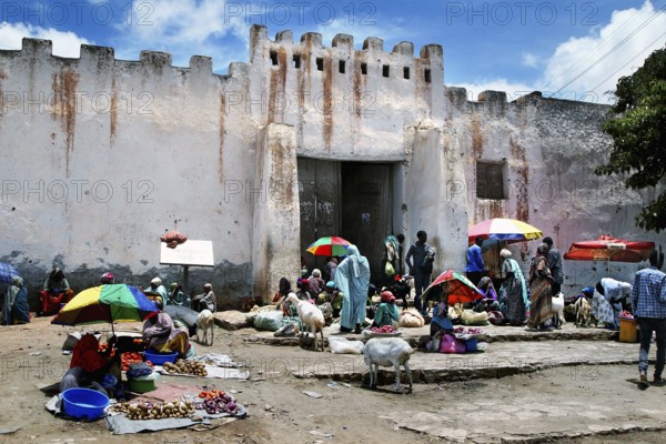East gate of Harar with bustling market activity and colorful stalls, Harar, Ethiopia