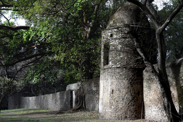 Stone tower with surrounding wall and trees at Fasilidas Bath in Gondar, Gondar, null