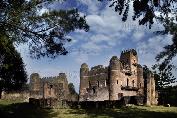 Castle surrounded by trees and wonderful sky in Gondar, Gondar, Amhara, Ethiopia