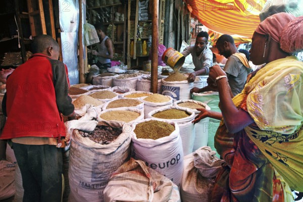People shop at a lively spice market in Harar, surrounded by colorful spices, Harar, Harar, Ethiopia