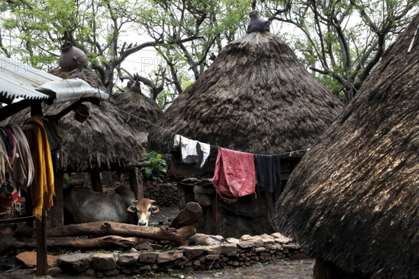 Huts with thatched roofs and suspended clothing in a lively Konso village, Konso, region, Ethiopia