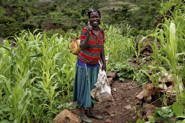 A farmer's wife smiles in the midst of terraced fields and tall corn plants, Konso, null