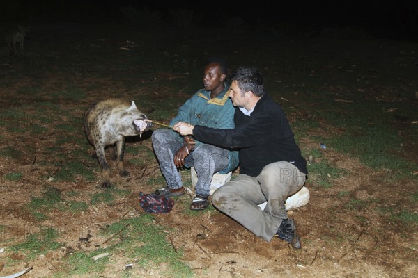 A man feeds a hyena at night, a fascinating outdoor encounter, Harar, Harar, Ethiopia