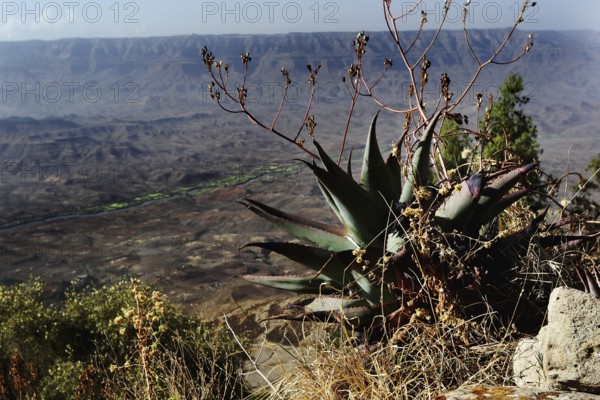 Wide view of the dry mountain landscape of Lalibela in the Lasta Mountains