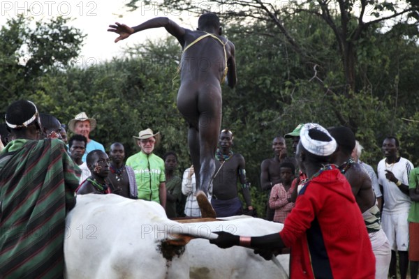 A man prepares to jump over the cattle, Turmi, Ethiopia