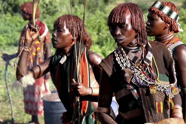 Group of Hamer woman wearing traditional clothing with jewelry in a green setting, Turmi, Ethiopia