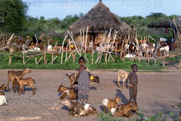 Children playing with goats in front of a traditional hut in Hamer village, Turmi, Ethiopia