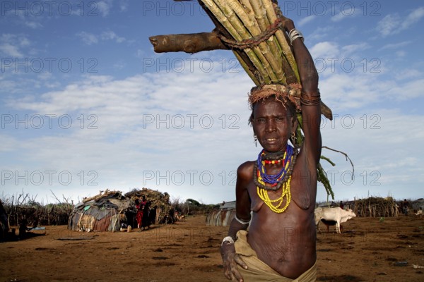Old woman carrying firewood in a Dessanech village in Omorate, Omorate, Ethiopia