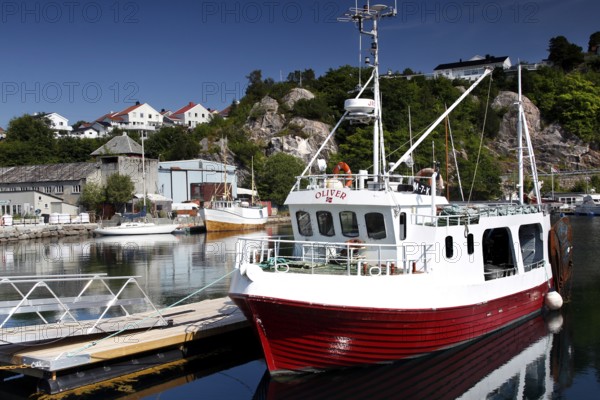 View from Kirkelandet marina on Gomalandet with fishing boat and houses in the background, Kristiansund, Møre og Romsdal, Norway