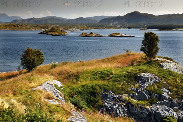 Geitøya archipelago island along Atlanterhavsveien with views of grasslands and the sea, Lauvøyford, Møre og Romsdal, Norway