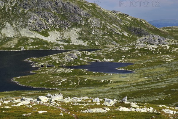 Idyllic landscape with lakes and green expanses in Hardangervidda, Hardangervidda, Gausdal, Norway