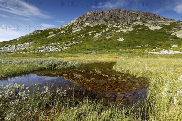 Pristine high moor landscape with a grassy mountain, Hardangervidda, null, Norway