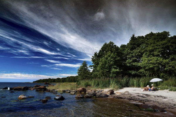 Tranquil coastal scene with wooded hinterland on Juminda Peninsula, Juminda, Kiiu, Aabla, Estonia