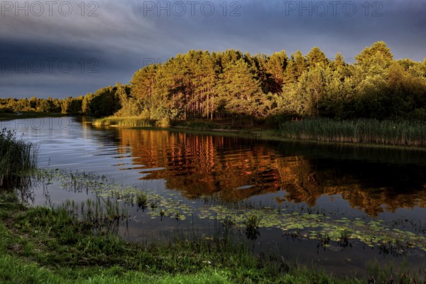 Shimmering golden trees are reflected in the calm water of a river, creating a peaceful atmosphere, Lake Peipus, Estonia