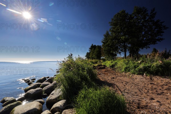 Sunlight breaks across the coast of Lake Peipu with lush vegetation in the foreground, Lake Peipus, Estonia