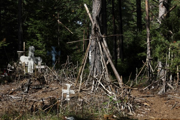 Mystical forest with cross structures and ritualistic atmosphere, Ristimägi, Hiiumaa, Estonia