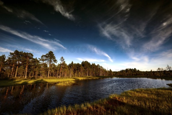 Viru moor in Lahemaa National Park with vast expanses of water and bright skies, Lahemaa National Park, Estonia